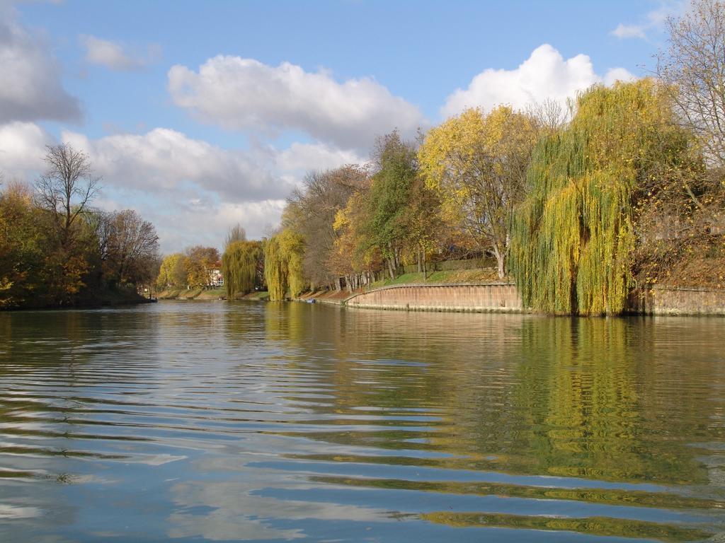Chambre Avec Jardin Pierre Curie Bry-sur-Marne Quarto foto